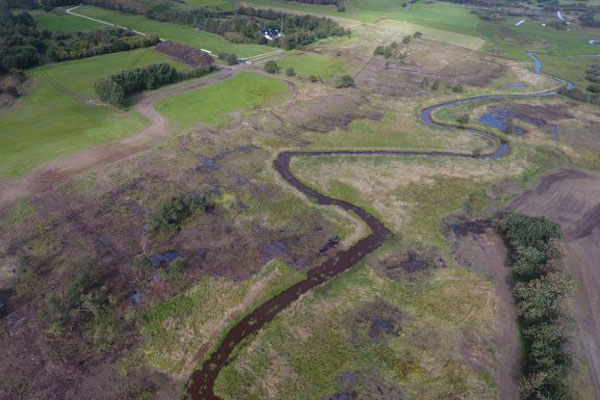 Naturpleje ved Endrup. Træerne fjernes for at genskabe engarealerne.